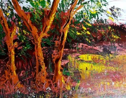 Zomerzon in Park Camden Town 