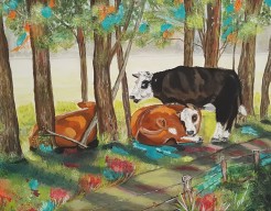 Cows in the forrest