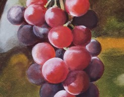 Sappige rode druiven 