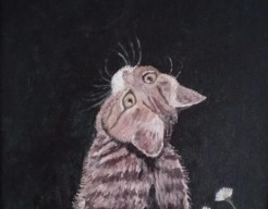 Poes          -244/6