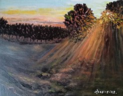 Zonsopgang      no     256/18