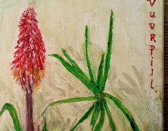 Vuurpijl   no  259/21