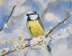 Pimpelmees in perenbloesem