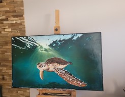Sea turtle