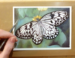 Papiervlinder - olieverf op papier