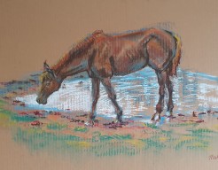 Jong paard bij waterplas