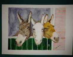 Drie Ezeltjes op stal