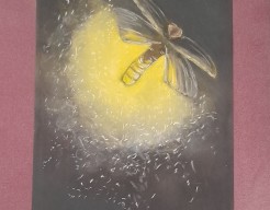 Vuurvliegje verspreid LICHT