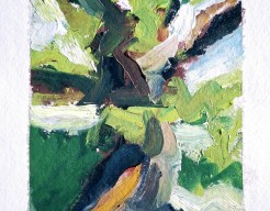 Boom in de Hortus van Amsterdam