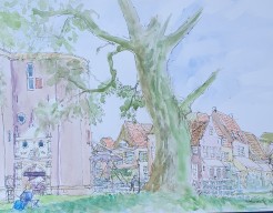 Enkhuizen Drommedaris