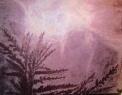 Tachtig procent zonsverduistering   (v w )  no 6