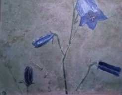 Grasklokje vroeg werk uit 2009  no 27