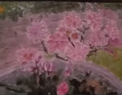 Vaste plant   vw   no 19