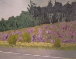 Heide     vw    no  37