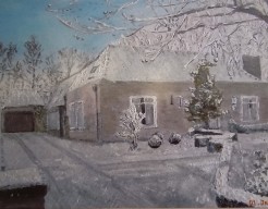 Besneeuwd huis in Vlijmen  vw    no 51