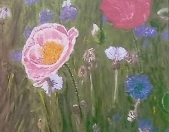 Wildbloemen  vw  no 65