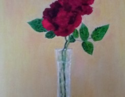 Rozen in glas    vw     no    67