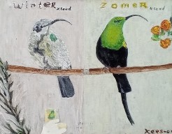 Malachite  sunbird  vw   no 73