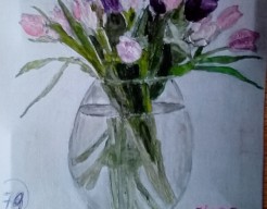 Tulpen      vw   no 79