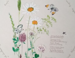 Beschilderd  kunstblad      no 143