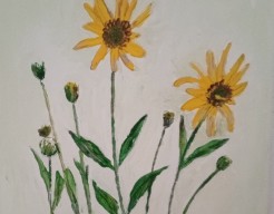 Gele najaarsplant   no  161