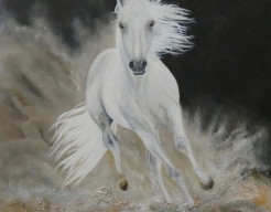 Witte hengst "De Kracht van de Vrijheid"