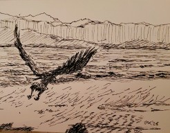 Flight of the bald eagle