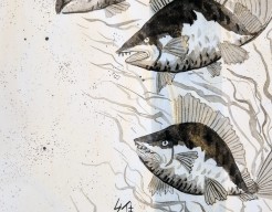 Oosterse penseeltekening