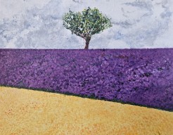 Provence in frankrijk