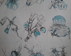 Verloren schatten in de natuur