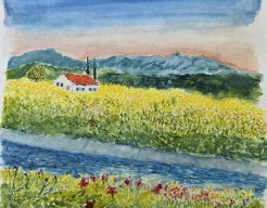 De provence in frankrijk