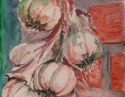 Streng knoflookbollen