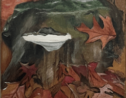 Herfst - Platte tonderzwam