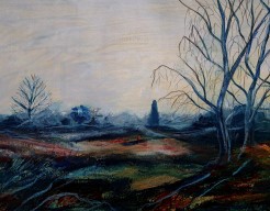 Mistig duinlandschap