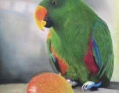 In lijn met je natuur