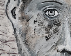 Walraven III van Brederode te Vianen