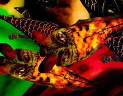 Misterieuse vissen water wereld 