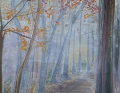 Witte Wieven, ochtendmist in het Boeschoterbos