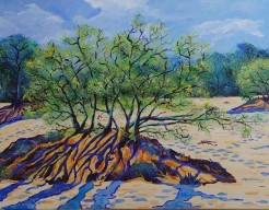 Soester Korte Duinen