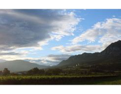 Vipava-vallei, Slovenië