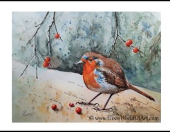 Roodborstje met besjes