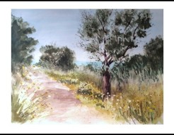 Olijfboom en wilde bloemen