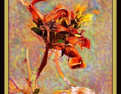 "Totem van Verborgen Instincten"