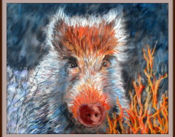 Oog in oog, in de herfst, op de Veluwe