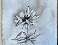 monochrome flower