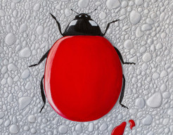 Lady Drop (handgeschilderd)