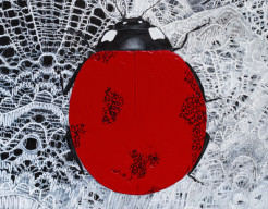 Lady Kant (handgeschilderd)