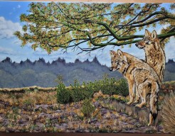 Wolven Broeders op de Veluwe / Brotherhood of Wolves