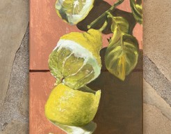 Citroen uit eigen tuin