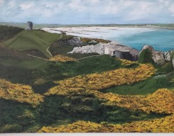 Gorse at L'Ancresse, Guernsey